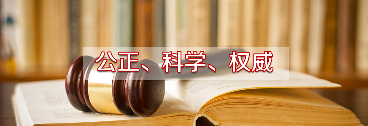 �ӱ��b��z�y(c��)�b�����޹�˾